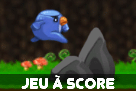 Jeu Cours l'oiseau